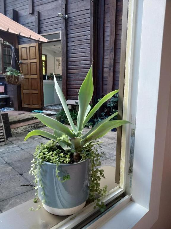 Chalet Ohana, Airport Family House Faaa Ngoại thất bức ảnh